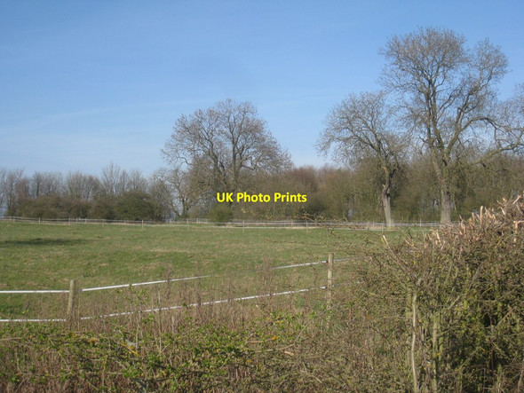 Photo 6"x4" Paddock near Sturgate Springthorpe c2012