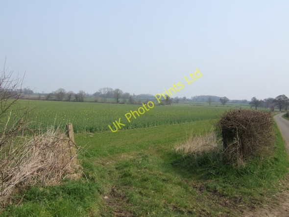 Photo 6"x4" Rape field Marston\/SJ8314 c2007