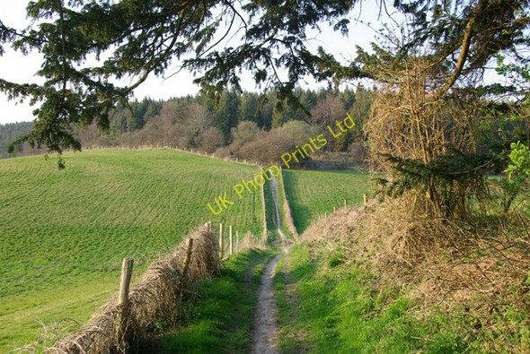Photo 6"x4" Bridlepath, Chalton Down Chalton\/SU7316 c2007