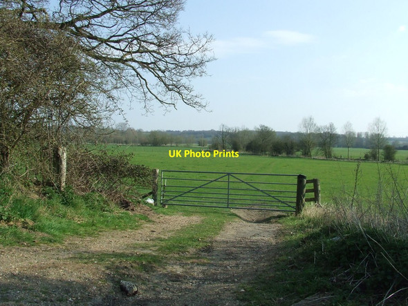 Photo 6"x4" Gate and meadow Nayland c2012