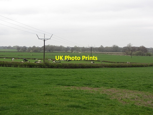 Photo 6"x4" Budworth Heath Budworth Heath c2012