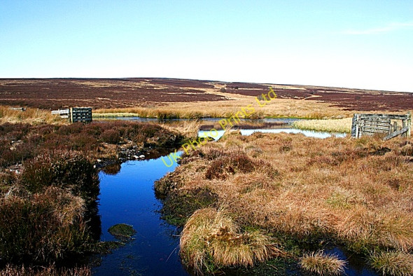 Photo 6"x4" Hunt Hill Rothes c2007
