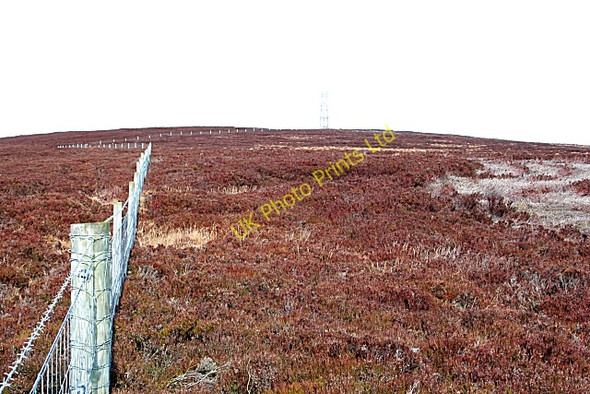 Photo 6"x4" Moss of Barluack Fogwatt c2007