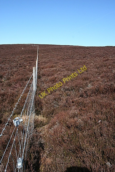 Photo 6"x4" Moss of Barluack Barluack c2007