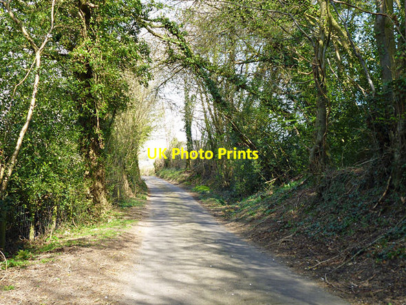 Photo 6"x4" Piccadilly Lane Coggins Mill c2012