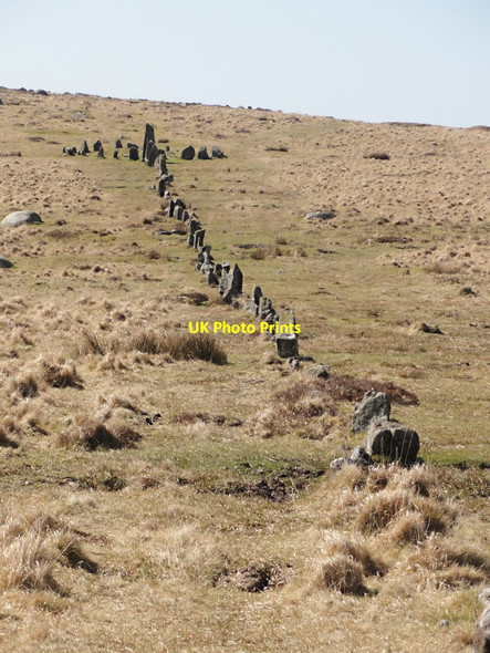 Photo 6"x4" The Stone Row and Circle on Hingston Hill Sheepstor c2012