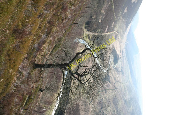 Photo 6"x4" Upper Derwent Valley from Oaken Bank Mosley Bank c2007