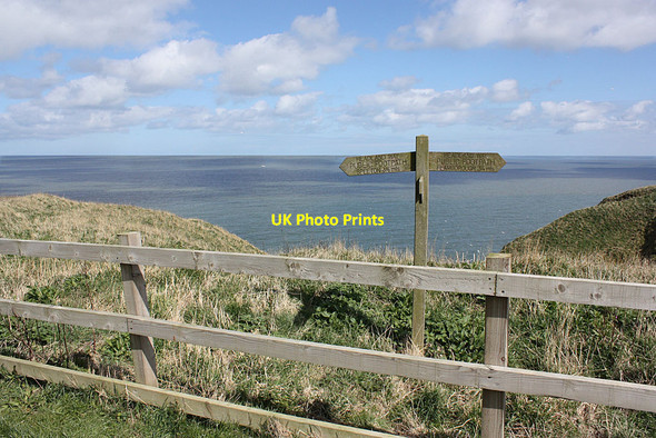 Photo 6"x4" Headland Way footpath sign, above Bempton Cliffs Bempton c2012