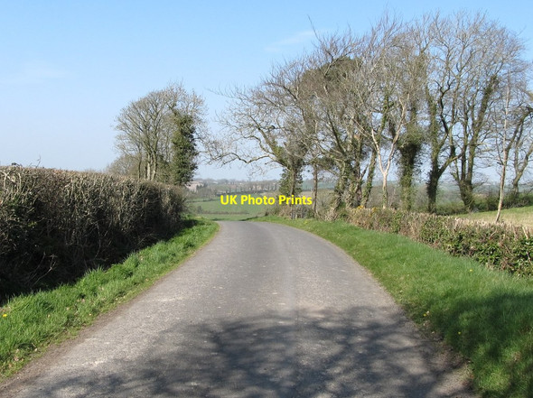 Photo 6"x4" View northwards along Bronte Road Milltown\/J1436 c2012