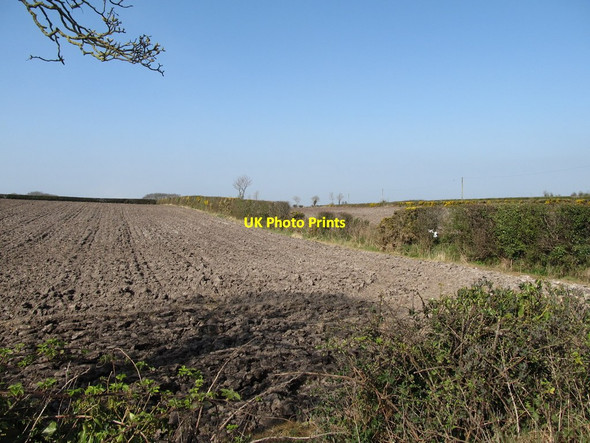 Photo 6"x4" Ploughed land on the north side of Ballynafern Road Milltown\/J1436 c2012