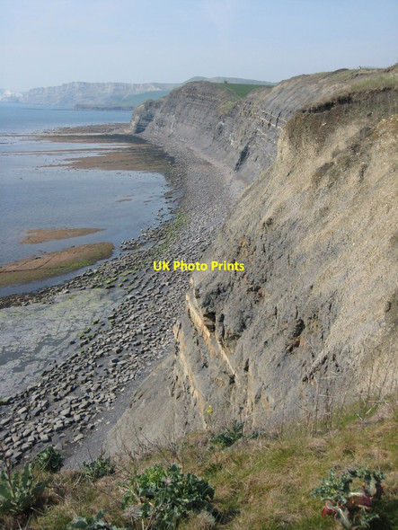 Photo 6"x4" Cliffs above Kimmeridge Ledges Kimmeridge c2012