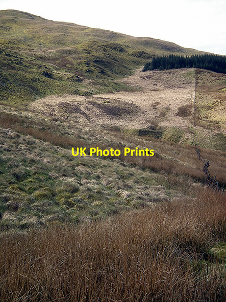 Photo 6"x4" The slopes of Y Garn viewed from Bryn yr Hydd Nant-y-moch\/SN7786 c2012