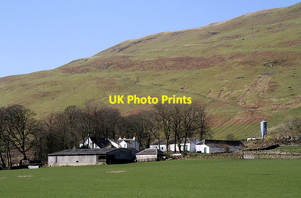 Photo 6"x4" Capplegill Farm Capplegill c2012