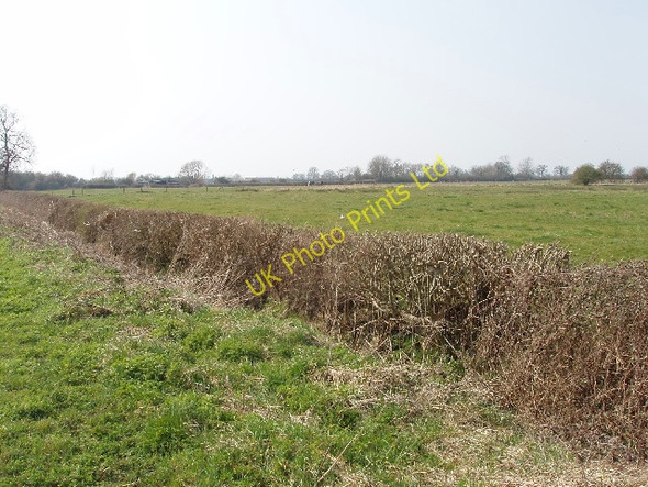 Photo 6"x4" Pasture and roadside hedge, Ambrosden Ambrosden c2007