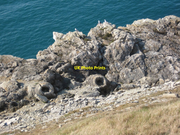 Photo 6"x4" Fossil forest, Lulworth West Lulworth c2012