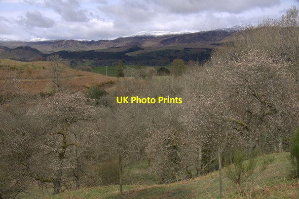 Photo 6"x4" View from Auchingarrich Wildlife Centre Cowden\/NN7720 c2012