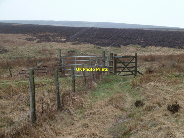 Photo 6"x4" Moorland with fence and gates Nether Padley c2012