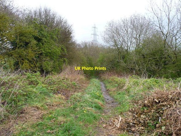 Photo 6"x4" The former Garesfield Waggonway Rowlands Gill c2012
