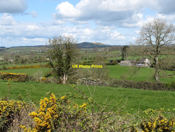 Photo 6"x4" View northwards across farmland from the Greenhill Road Rathfriland c2012