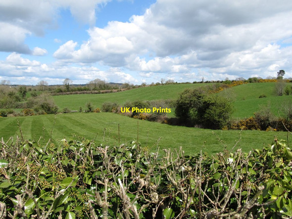 Photo 6"x4" The valley of a tributary of the upper Clanrye river Rathfriland c2012