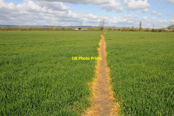 Photo 6"x4" Footpath to Shepherd's Patch Slimbridge c2012