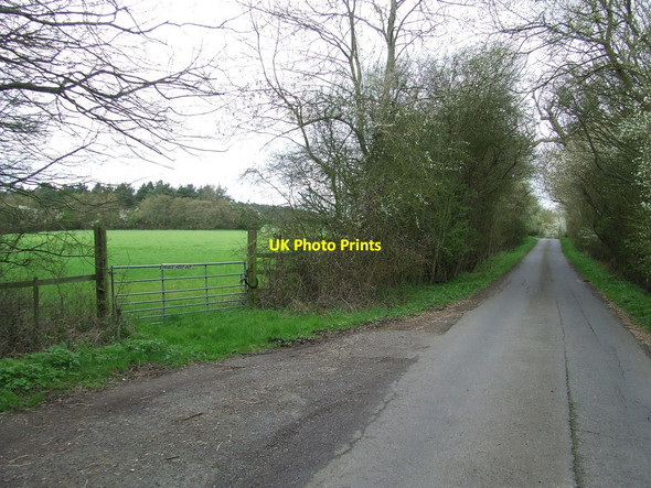 Photo 6"x4" Redgates Lane Saffron Walden c2012