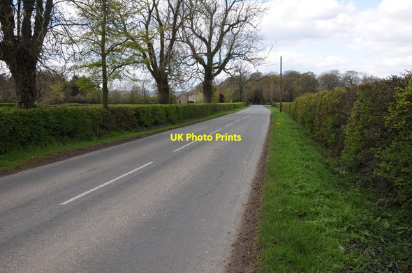 Photo 6"x4" Road near Breadstone Berkeley Road c2012