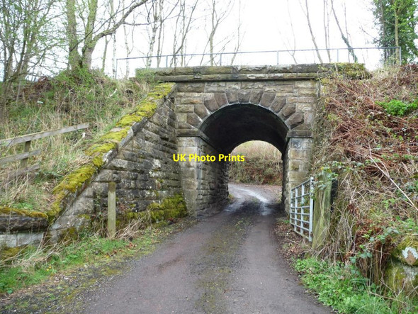 Photo 6"x4" Railway bridge on the Derwent Walk Rowlands Gill c2012