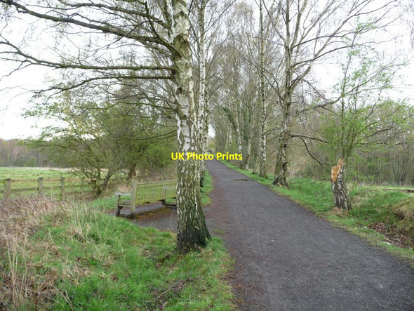 Photo 6"x4" Bench with a view Rowlands Gill c2012