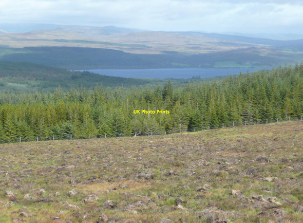 Photo 6"x4" Planted moorland on Meall a' Mhuic Meall nan Sac\/NN5651 c2011