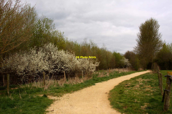 Photo 6"x4" The Thames Path to Cricklade Waterhay c2012 P1