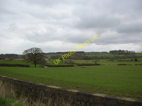 Photo 6"x4" Firlands Farm Burton Leonard c2007