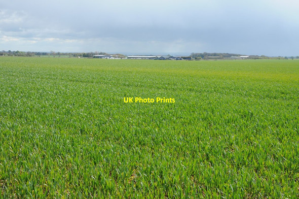 Photo 6"x4" Site of the former Babdown Airfield Lasborough c2012