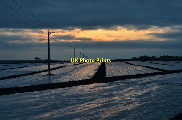 Photo 6"x4" Pittenweem farmland Pittenweem c2012