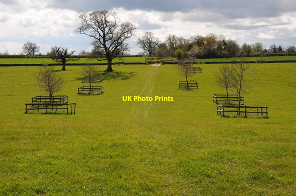 Photo 6"x4" Trees, young and mature Tetbury c2012