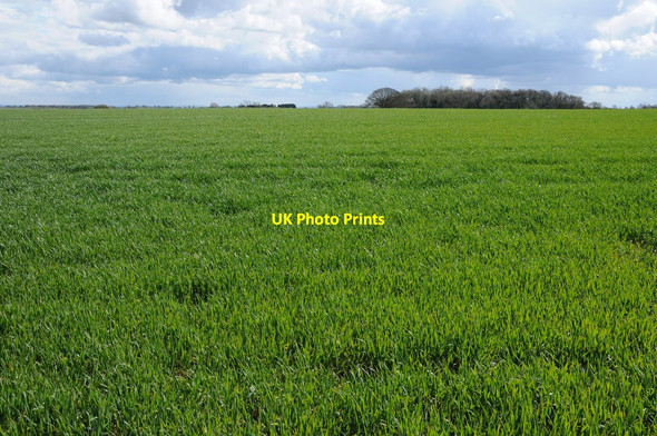 Photo 6"x4" Arable field near Star Farm Tetbury Upton c2012