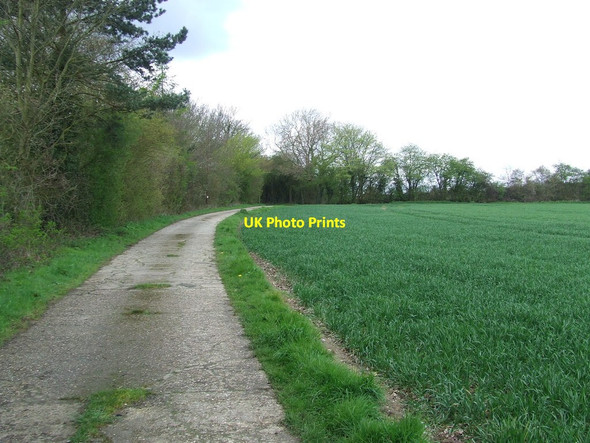 Photo 6"x4" Part Of Hall Lane Blacksmith's Green c2012