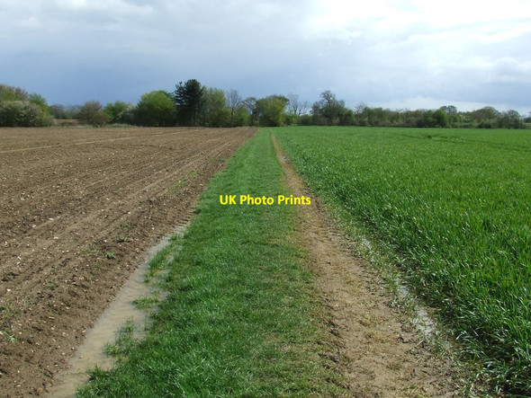 Photo 6"x4" Green Footpath Blacksmith's Green c2012