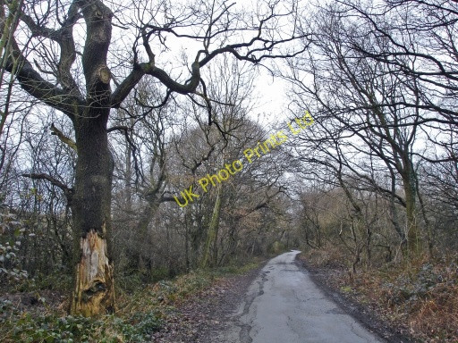 Photo 6"x4" Tenement Lane Cheadle Hulme c2007