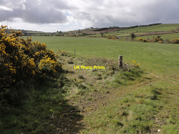 Photo 6"x4" Farmland near Clonakilty Lissavard c2012