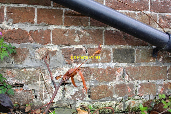 Photo 6"x4" Benchmark on The Goodlake Arms Wantage c2012