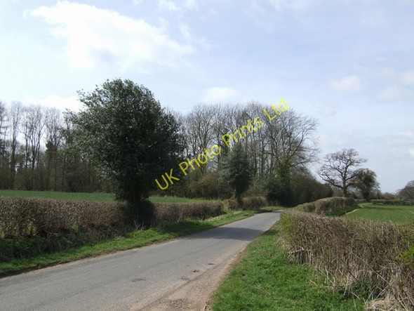 Photo 6"x4" High Onn Wood High Onn c2007