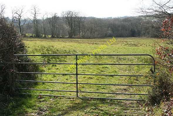 Photo 6"x4" East Anstey: by Smallacombe Moors East Anstey c2007
