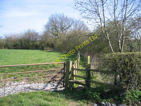 Photo 6"x4" Footpath near Iddinshall Rough Birch Heath c2007