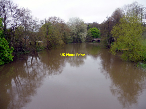 Photo 6"x4" Blandford  Bridge and the River Stour, Blandford Forum Blandford Forum c2012