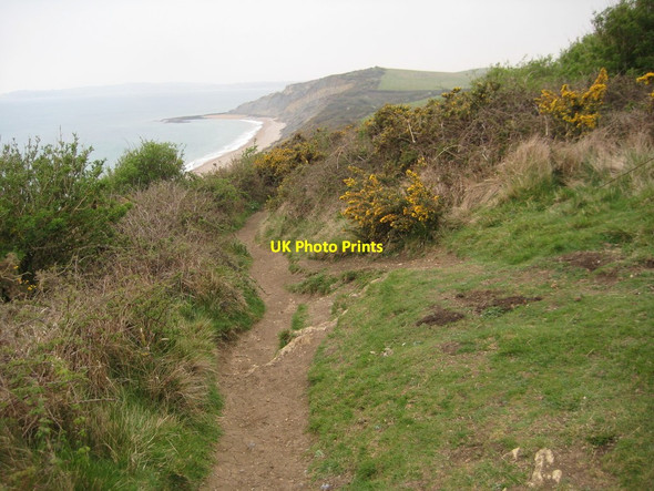 Photo 6"x4" The coast path near Osmington Osmington c2012