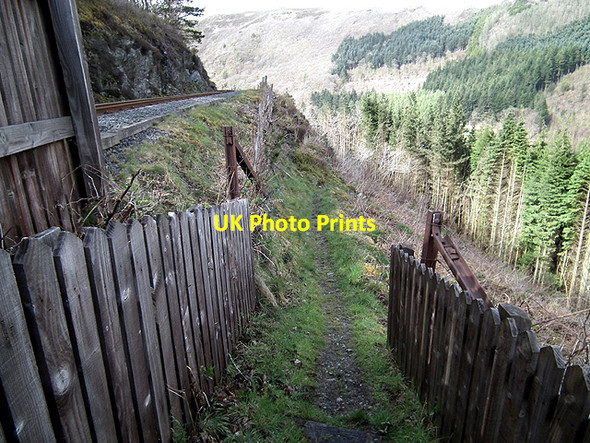 Photo 6"x4" Beside the Vale of Rheidol Railway on the path to Devil's Bridge Devil's Bridge\/Pontarfynach c2012