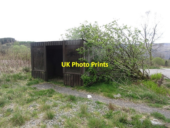 Photo 6"x4" Woodland bus stop Birdfield\/NR9694 c2012