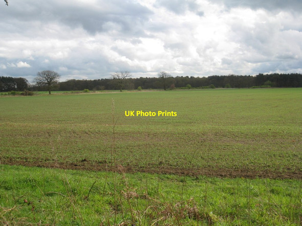 Photo 6"x4" View towards Sands Plantation Holton le Moor c2012