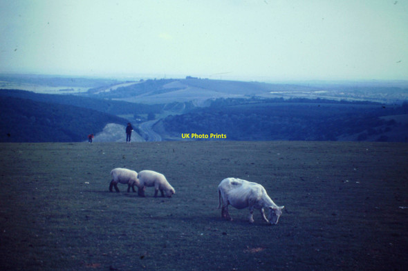 Photo 6"x4" Butser Hill Weston\/SU7221 c1985